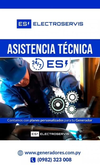 Asistencia tecnica